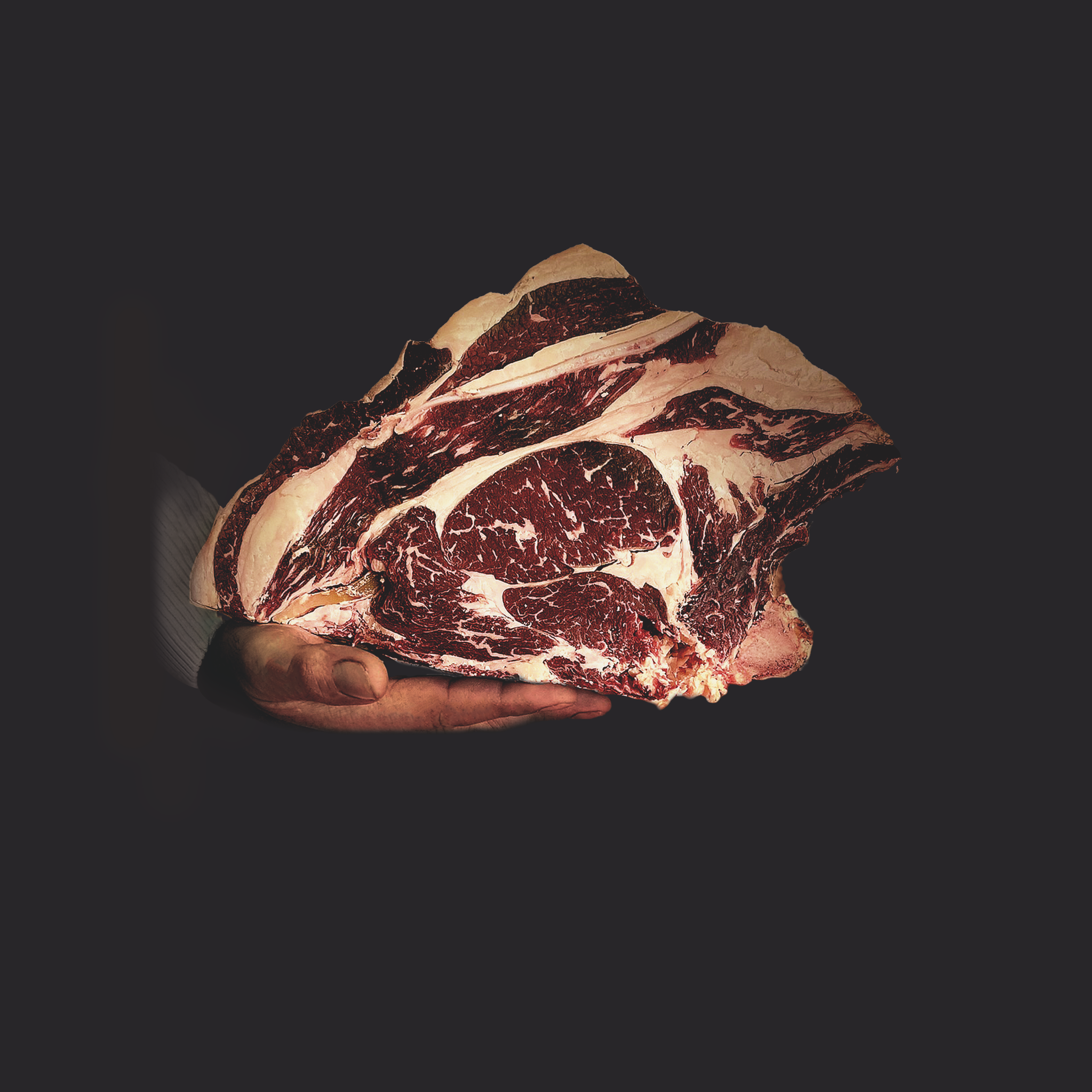Aubrac - Ferme de Coutancie - Selection Signature